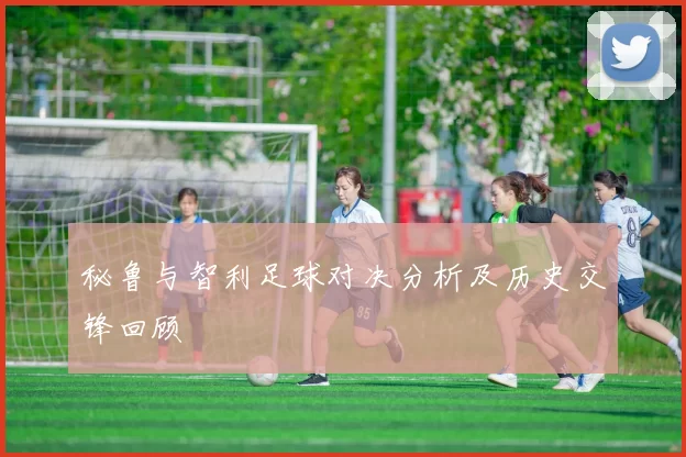 秘鲁与智利足球对决分析及历史交锋回顾