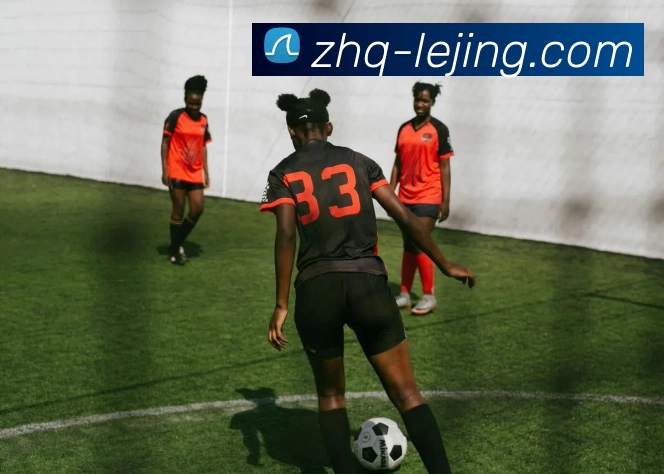 乐竞体育平台生态图